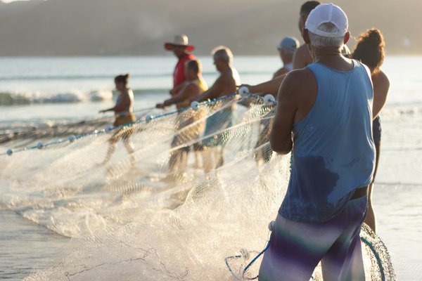 Comment découvrir les traditions de la pêche à la crevette en Camargue, France?